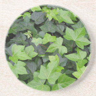 Green Ivy Botanical Print Zandsteen Onderzetter