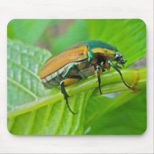 Green June Beetle Mousepad Muismat