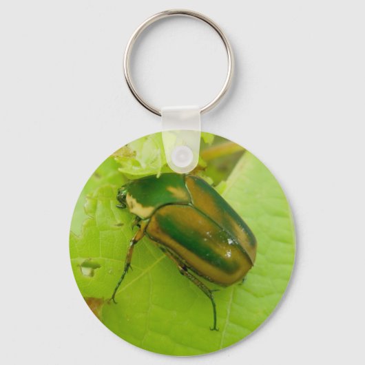 Green June Beetle Sleutelhanger (Voorkant)