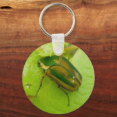 Green June Beetle Sleutelhanger (Voorkant)