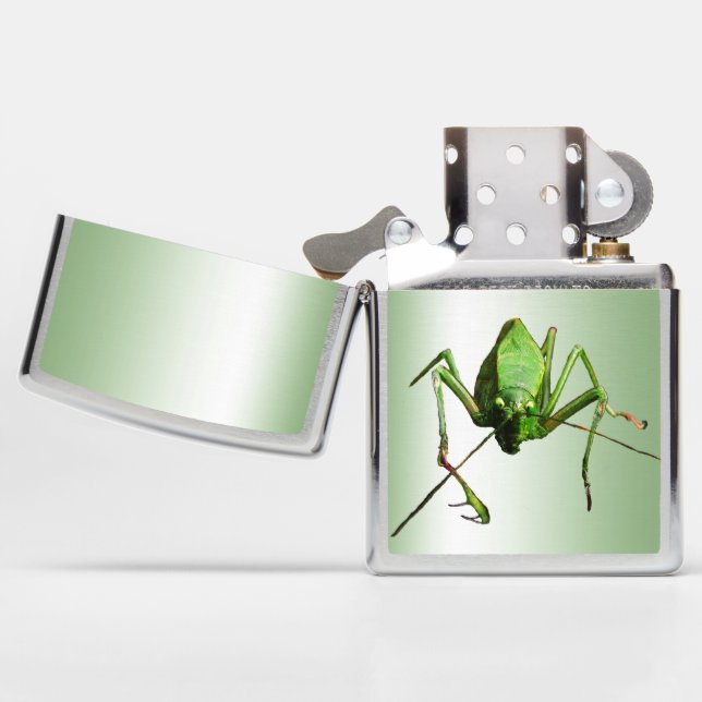 Green Katydid Animal Insect (Geopend)