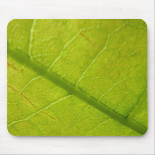 Green Leaf Botanische Natuur Fotografie Muismat