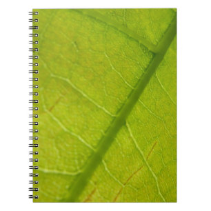 Green Leaf Botanische Natuur Fotografie Notitieboek