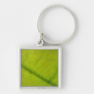 Green Leaf Botanische Natuur Fotografie Sleutelhanger