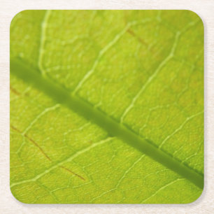 Green Leaf Botanische Natuur Fotografie Vierkante Kartonnen Onderzetter