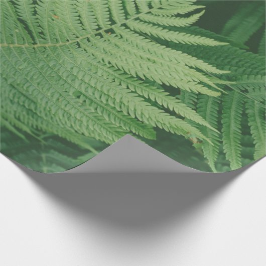 GREEN LEAF CADEAUPAPIER (Hoek)