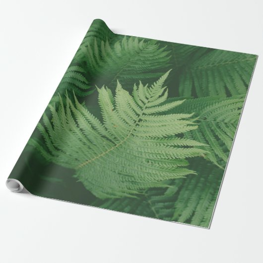GREEN LEAF CADEAUPAPIER (Uitgerold)