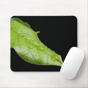 Green Leaf en Raindrops Mousepad Muismat