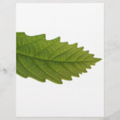 Green Leaf Flyer (Achterkant)