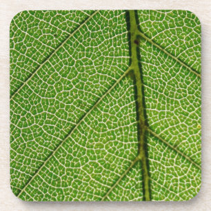 Green Leaf in detail Bier Onderzetter