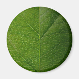 Green Leaf Magneet