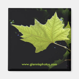 Green Leaf Magnet Magneet