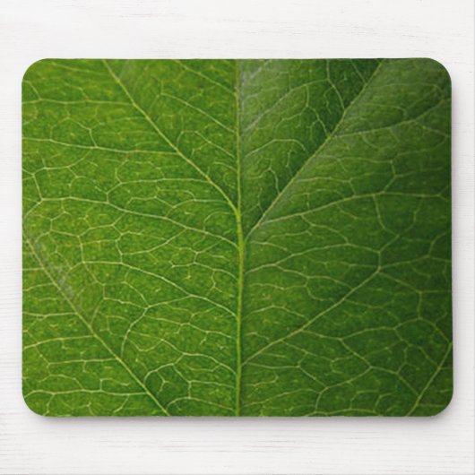 Green Leaf Muismat (Voorkant)