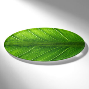 Green Leaf Naambadge