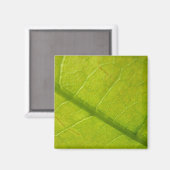 Green Leaf Natuur Fotografie Magneet (Voorkant / Achterkant)