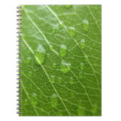 Green Leaf Notitieboek (Voorkant)