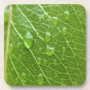 Green Leaf Onderzetter