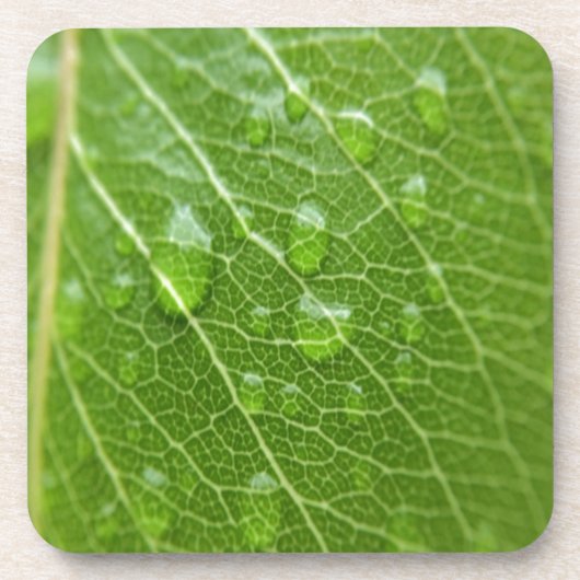Green Leaf Onderzetter (Voorkant)