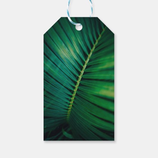 Green Leaf Palm Frond Closeup Foto Dank u Cadeaulabel (Achterkant)