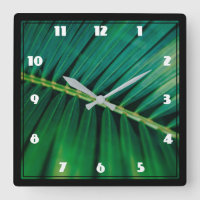 Green Leaf Palm Frond Closeup Foto