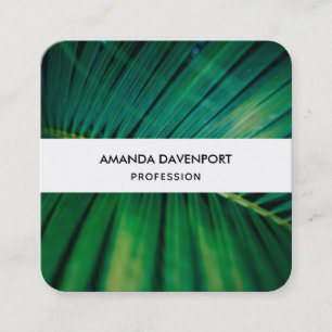 Green Leaf Palm Frond Tropische Natuur Foto Vierkante Visitekaartje