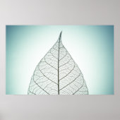 Green Leaf Skeleton Poster (Voorkant)