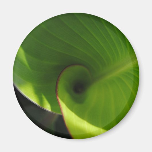 Green Leaf Swirl Magneet (Voorkant)