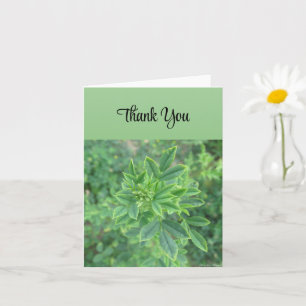 Green Leaf - Thank You Card Kaart