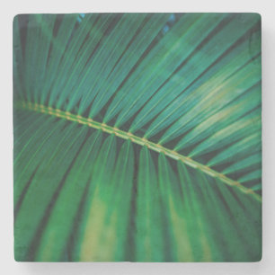 Green Leaf Tropical Forest Natuur Foto Stenen Onderzetter