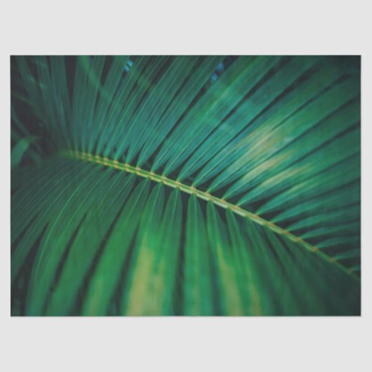 Green Leaf Tropical Forest Natuur Foto Tissuepapier (Voorkant)