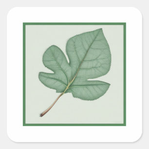 Green Leaf Vierkante Sticker