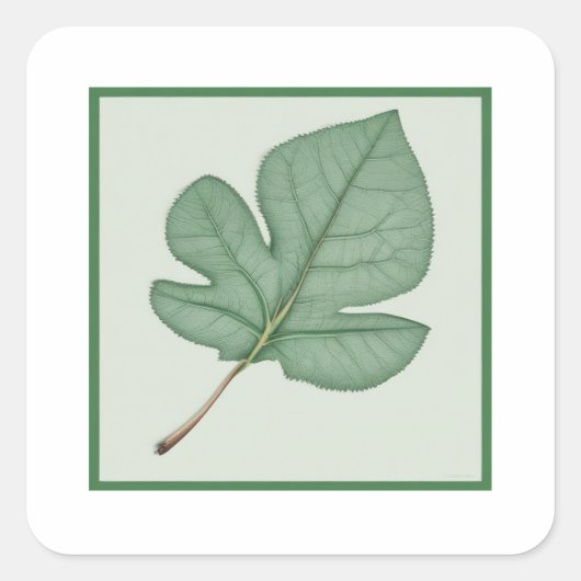 Green Leaf Vierkante Sticker (Voorkant)