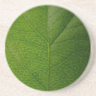 Green Leaf Zandsteen Onderzetter