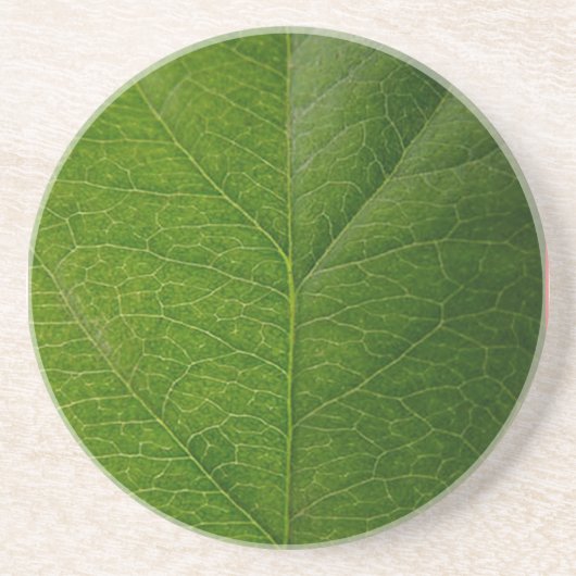 Green Leaf Zandsteen Onderzetter (Voorkant)