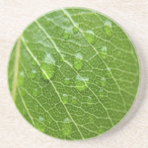Green Leaf Zandsteen Onderzetter