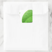 Green Leafs Vierkante Sticker (Tas)