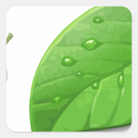 Green Leafs Vierkante Sticker (Voorkant)