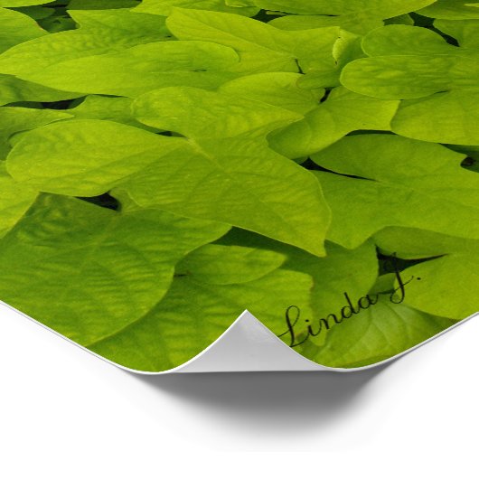 Green Leafy Texture Background Canvas of Poster (Hoek)