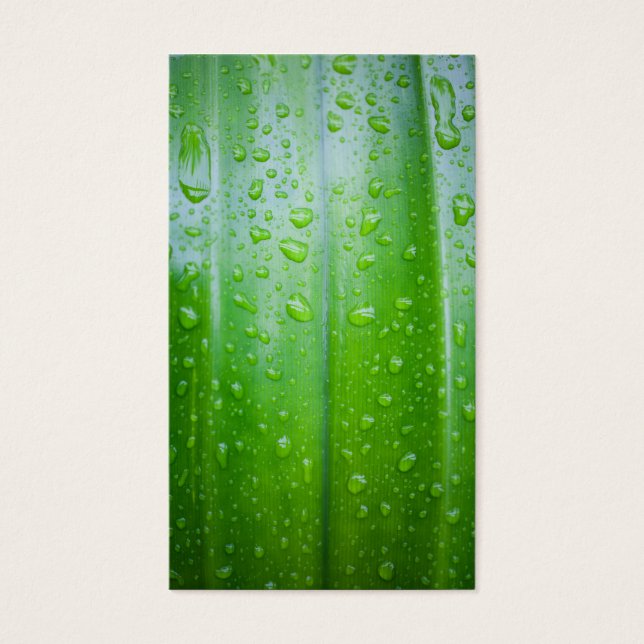 Green leaves background (Devant)