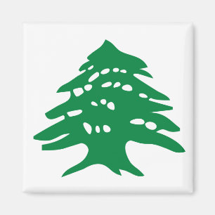 Green Libanon Cedar Magnet Magneet