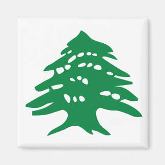 Green Libanon Cedar Magnet Magneet