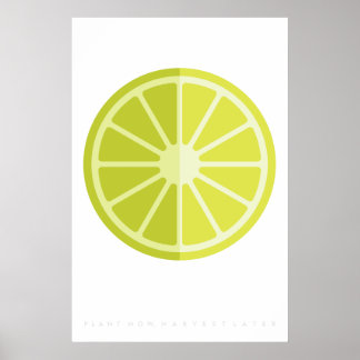 Green Lime Retro Poster de fruits 60's 70's Citati
