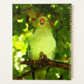 Green Little Parrot Bird Planner (Achterkant)