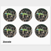 Green Lizard foto Sticker (Vel)