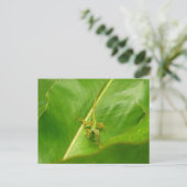 Green Lizard op Green Leaf Briefkaart (Staand voorkant)