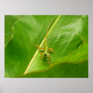 Green Lizard op Green Leaf Poster