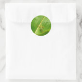 Green Lizard op Green Leaf Ronde Sticker (Tas)