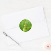 Green Lizard op Green Leaf Ronde Sticker (Envelop)