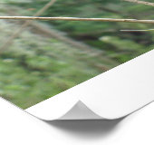 Green Lizard Poster (Hoek)