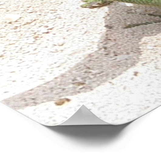 Green Lizard Print (Hoek)